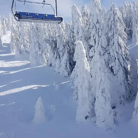 Kockica Konaci * Kopaonik