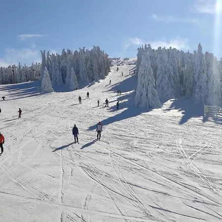 Kockica Konaci * Kopaonik